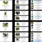 Bruno Vom Hause Scherau Pedigree Overview